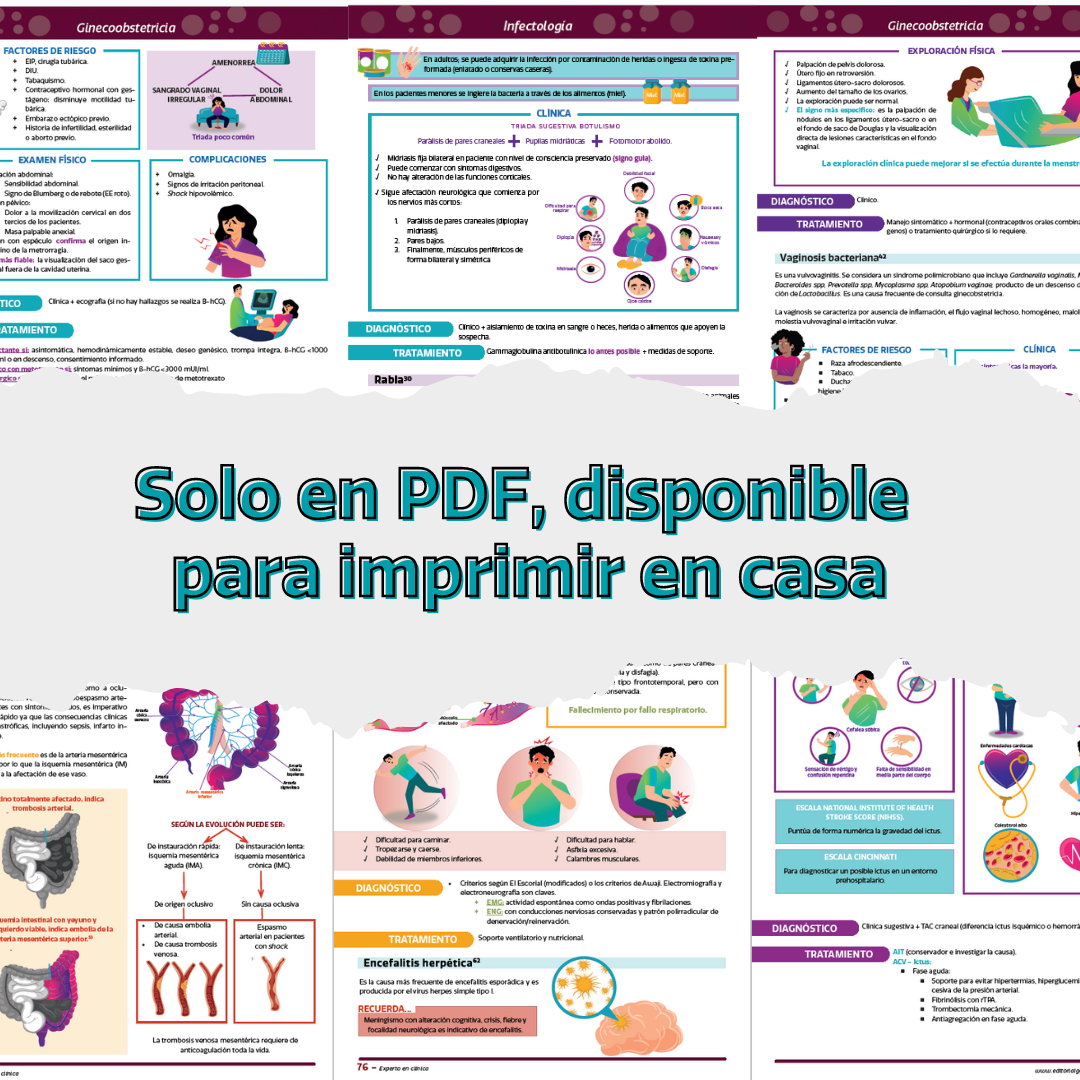Libro en PDF: Experto en clínica (versión para imprimir)