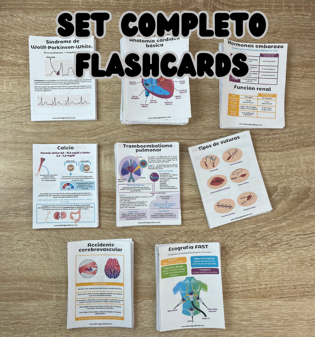 SET completo todas las flashcards PDF
