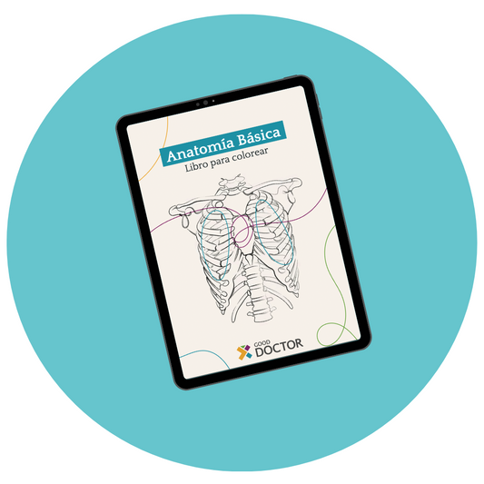 Libro en PDF: Anatomía para colorear (versión para imprimir)