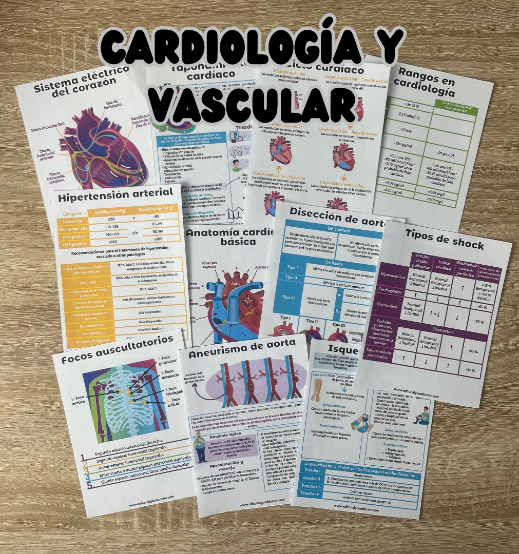 Medicina interna en flashcards PDF – Editorial Good Doctor