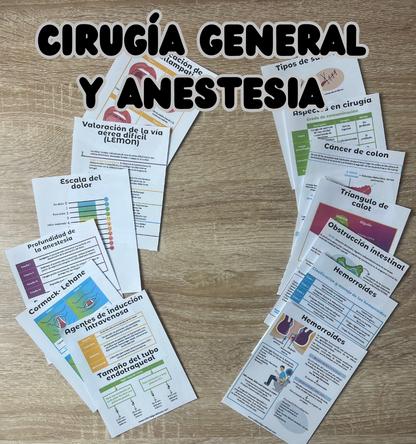 SET completo todas las flashcards PDF