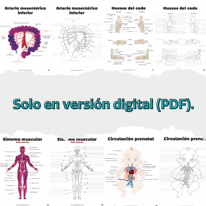 Libro en PDF: Anatomía para colorear (versión para imprimir)