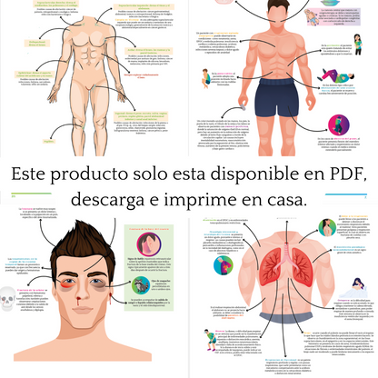 Libro en PDF: Examen físico en esquemas