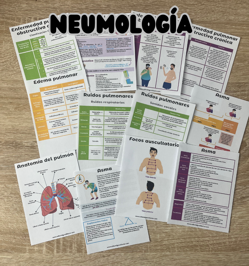 Medicina interna en flashcards PDF – Editorial Good Doctor
