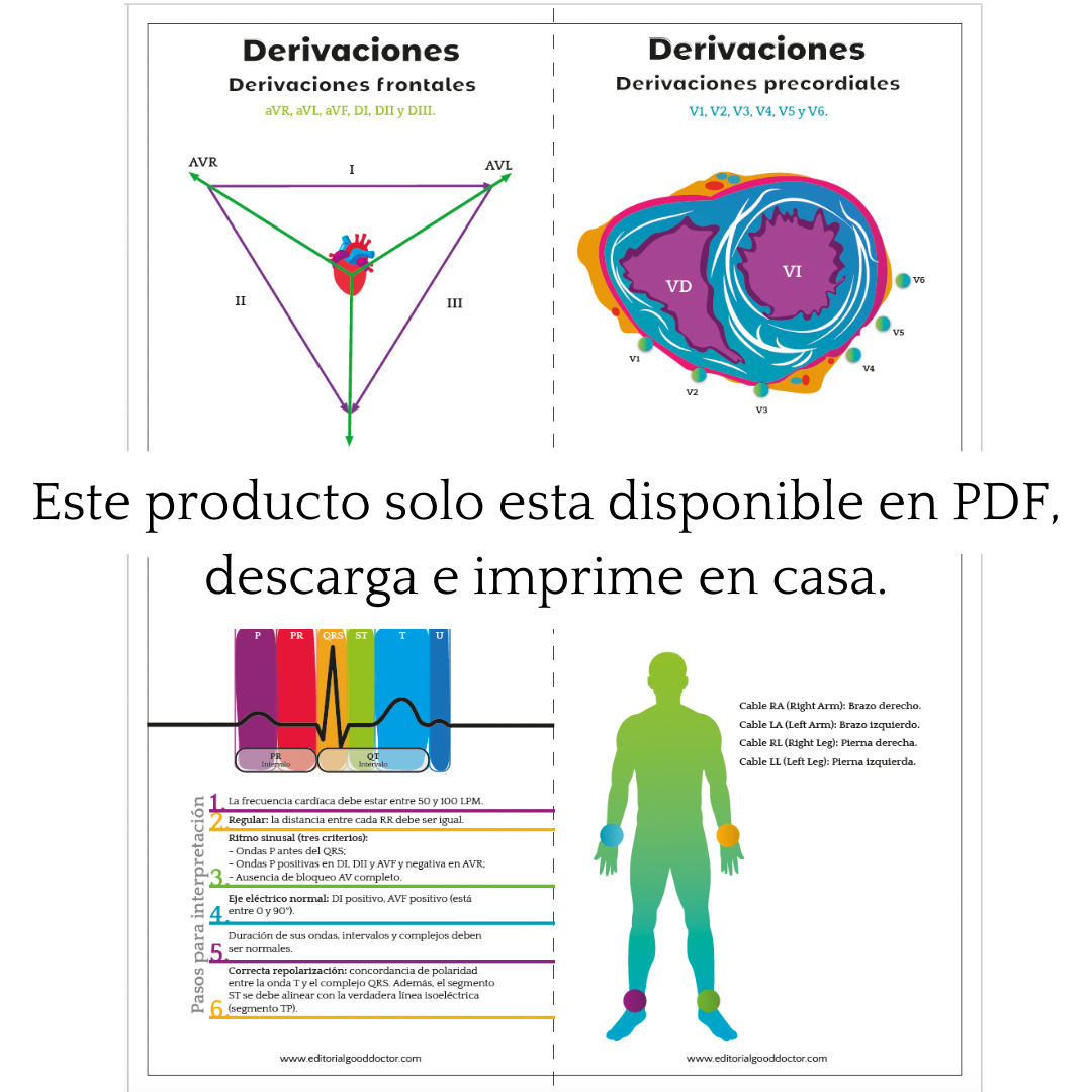 Electrocardiograma en flashcards PDF