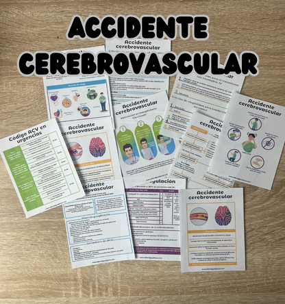 SET completo todas las flashcards PDF