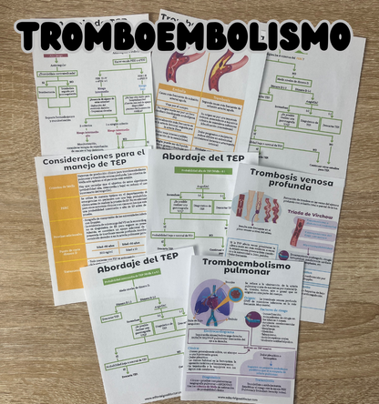 SET completo todas las flashcards PDF