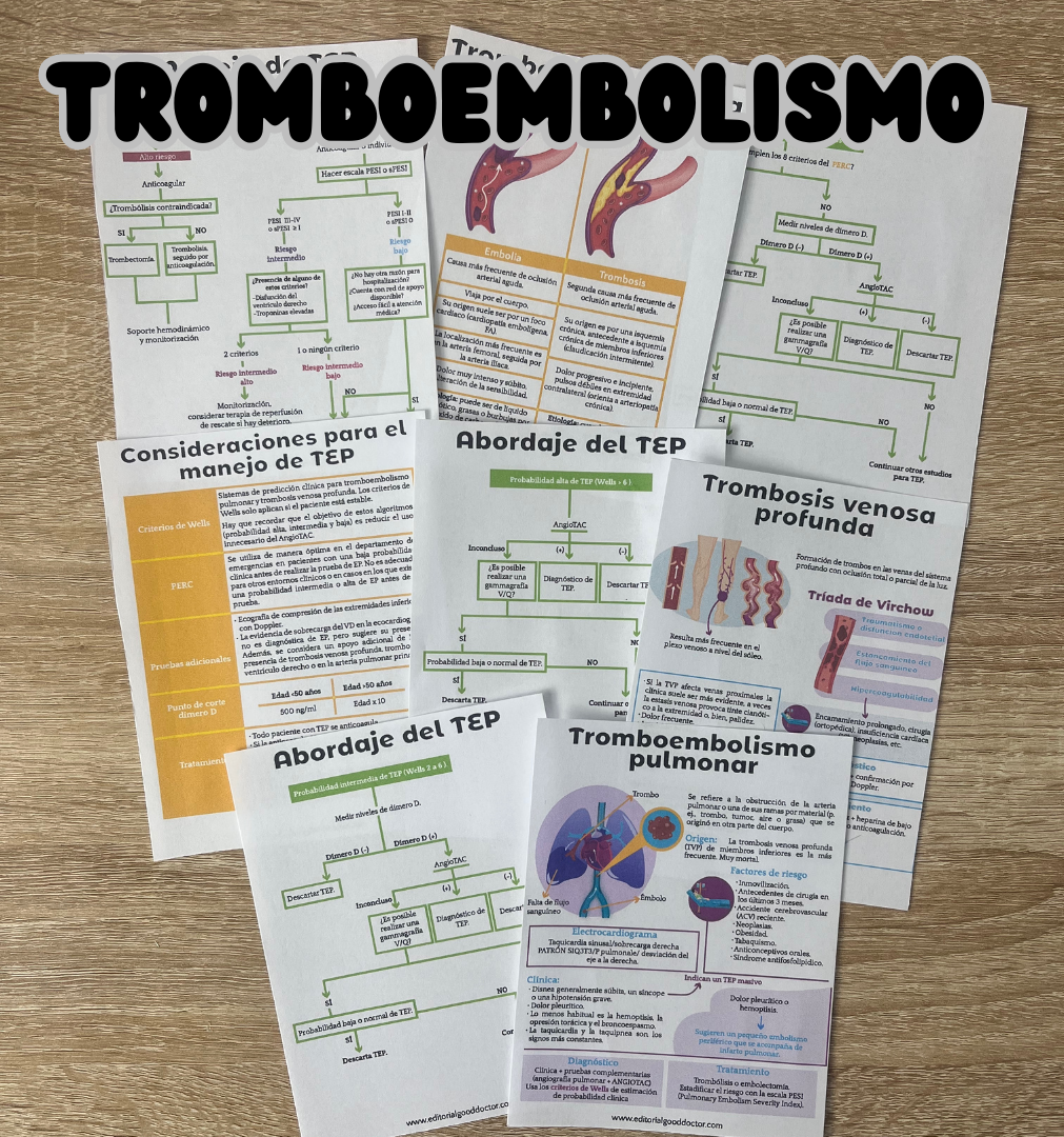 Medicina interna en flashcards PDF – Editorial Good Doctor